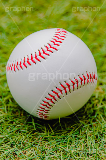 野球ボール,野球,ベイスボール,軟球,ボール,スポーツ,運動,競技,球技,体育,部活,芝生,グラウンド,グランド,sports,ball,フルサイズ撮影
