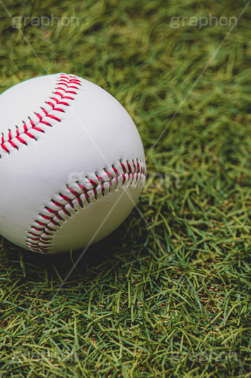 野球ボール,野球,ベイスボール,軟球,ボール,スポーツ,運動,競技,球技,体育,部活,芝生,グラウンド,グランド,sports,ball,フルサイズ撮影