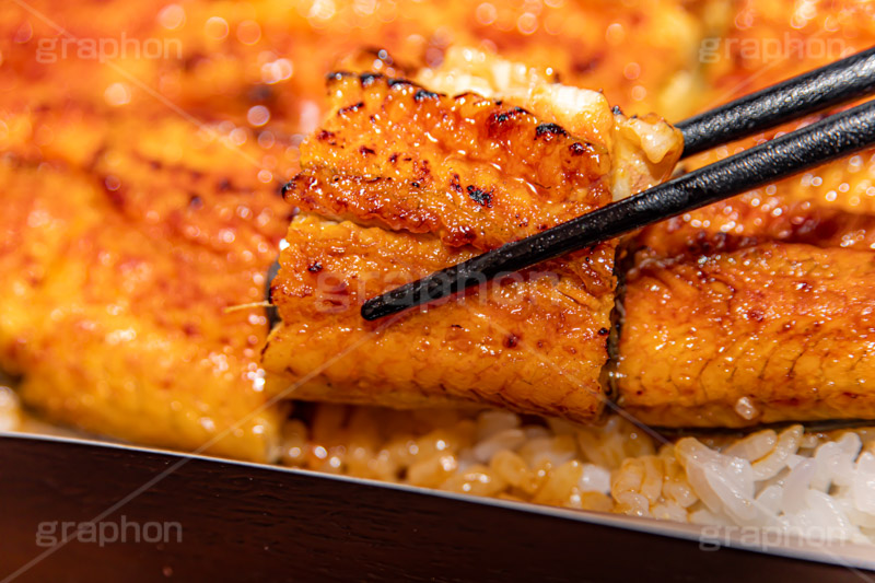 うな重,うな丼,土用の丑の日,ウナギ,鰻重,うなぎ,鰻,土用,丑の日,蒲焼,かば焼き,夏,和食,日本食,日本料理,お重,スタミナ,性,季節感,照り,ツヤ,たれ,タレ,サマー,箸,はし,つかむ,掴む,summer,japan,フルサイズ撮影