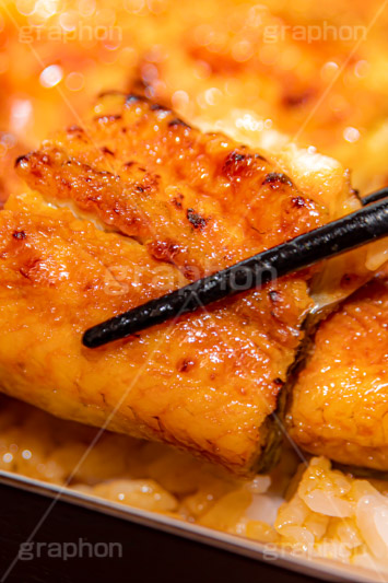 うな重,うな丼,土用の丑の日,ウナギ,鰻重,うなぎ,鰻,土用,丑の日,蒲焼,かば焼き,夏,和食,日本食,日本料理,お重,スタミナ,性,季節感,照り,ツヤ,たれ,タレ,サマー,箸,はし,つかむ,掴む,summer,japan,フルサイズ撮影