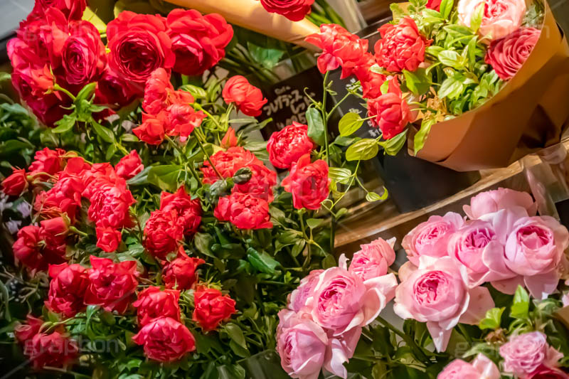 お花屋さん,花,フラワー,ショップ,花屋,薔薇,バラ,ローズ,rose,flower,shop,フルサイズ撮影