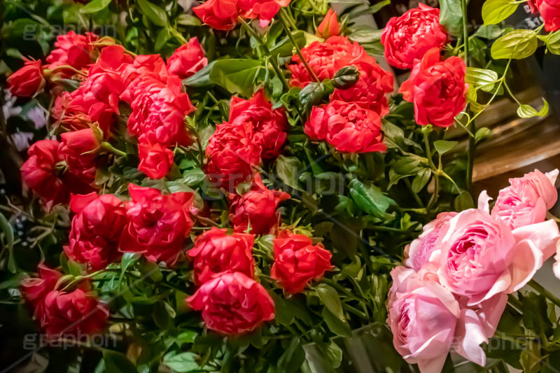 お花屋さん,花,フラワー,ショップ,花屋,薔薇,バラ,ローズ,rose,flower,shop,フルサイズ撮影