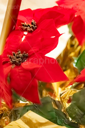 ポインセチア,クリスマスの花,デコレーション,飾り,オーナメント,真っ赤,冬,イベント,行事,花,造花,フラワー,flower,winter,Christmas,フルサイズ撮影