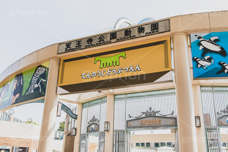 天王寺動物園,天王寺公園,動物園,大阪,大阪府,大阪市,天王寺,天王寺区,観光地,ゲート,zoo,japan,osaka,フルサイズ撮影