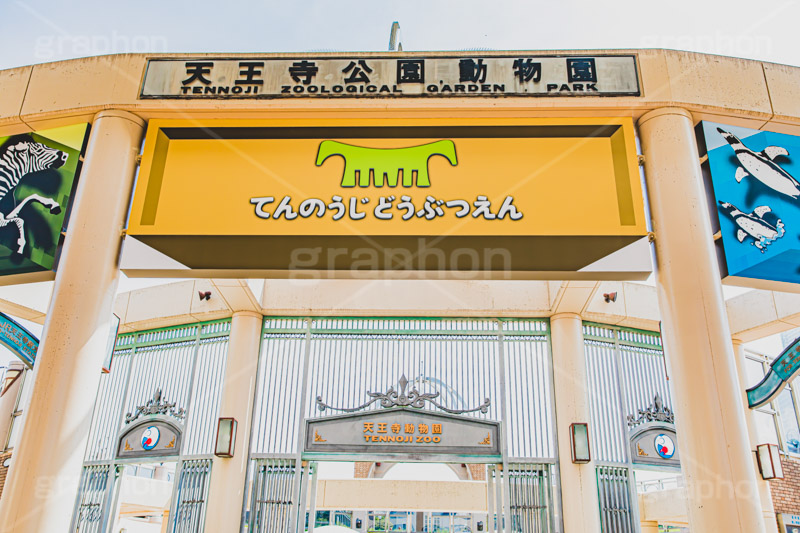 天王寺動物園,天王寺公園,動物園,大阪,大阪府,大阪市,天王寺,天王寺区,観光地,ゲート,zoo,japan,osaka,フルサイズ撮影