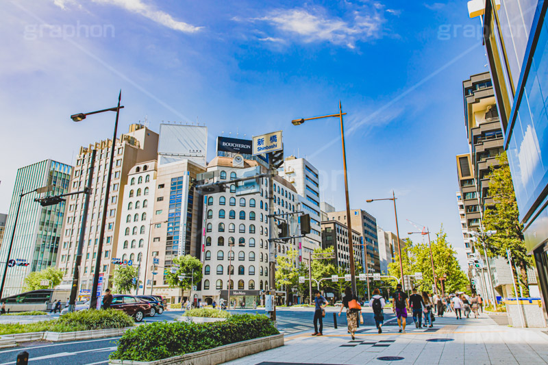 新橋,大阪府,大阪市,大阪,中央区,御堂筋,長堀通,交差点,信号,看板,標示,japan,osaka,フルサイズ撮影