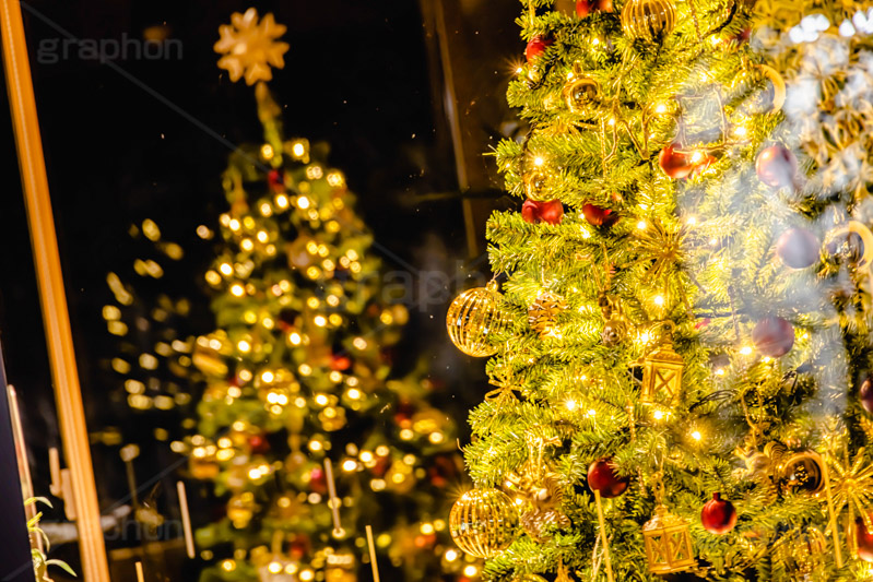 ウィンドウ越しのクリスマスツリー,光り輝くクリスマスツリー,クリスマスツリー,イルミネーション,イルミ,電飾,電球,発光ダイオード,冬,キラキラ,綺麗,きれい,キレイ,煌,輝,デート,クリスマス,飾り,デコレーション,イベント,モミの木,もみの木,オーナメント,ボール,ウィンドウ,窓,ショーウィンドウ,反射,illumination,tree,LED,CHRISTMAS,Xmas,ornament,フルサイズ撮影