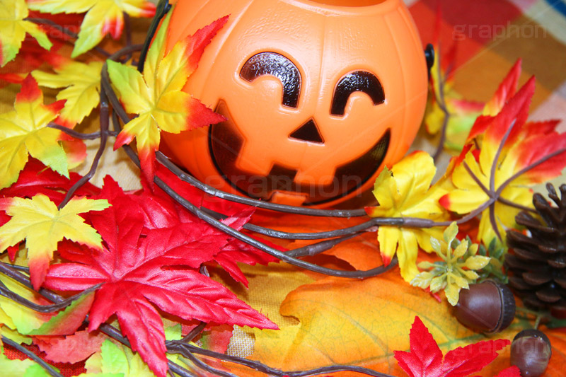 ジャックオーランタン,ハロウィン,はろうぃん,ハロウィーン,Halloween,かぼちゃ,カボチャ,南瓜,ランタン,イベント,おもちゃ,秋,パンプキン,pumpkin,行事