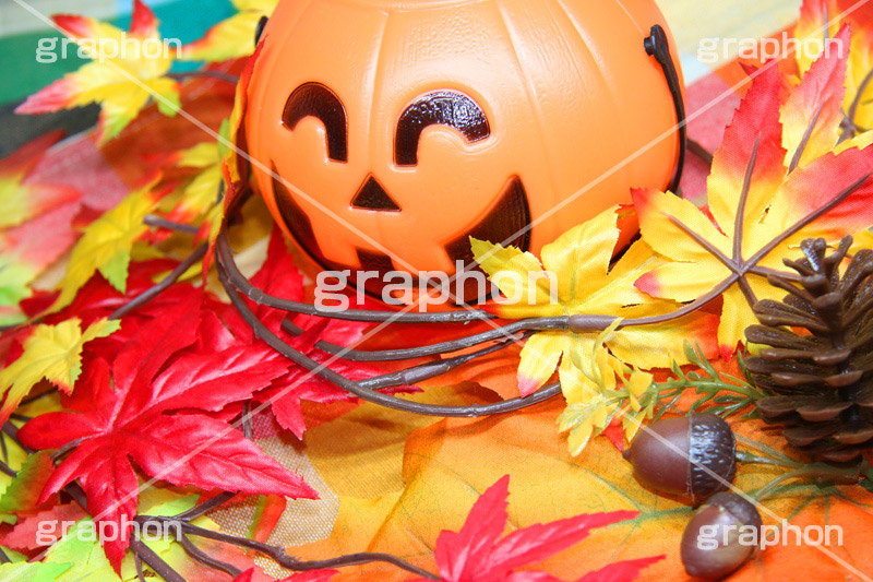 ジャックオーランタン,ハロウィン,はろうぃん,ハロウィーン,Halloween,かぼちゃ,カボチャ,南瓜,ランタン,イベント,おもちゃ,秋,パンプキン,pumpkin,行事