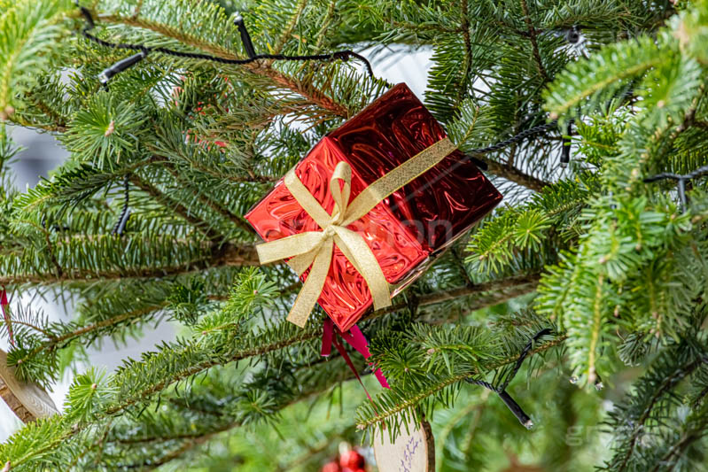クリスマスオーナメント,オーナメント,飾り,デコレーション,プレゼント,プレゼントボックス,贈り物,クリスマスツリー,ツリー,もみの木,モミの木,クリスマス,イベント,冬,行事,CHRISTMAS,Xmas,ornament,winter,present,フルサイズ撮影