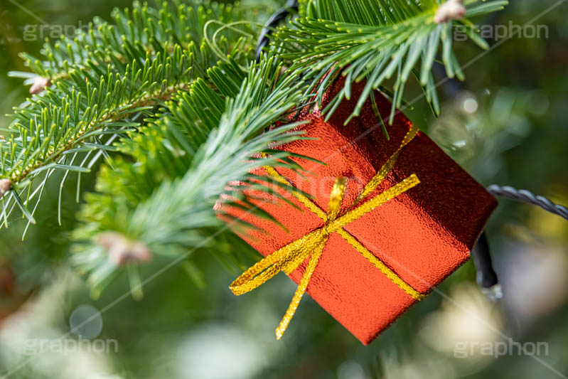 クリスマスオーナメント,オーナメント,飾り,デコレーション,プレゼント,プレゼントボックス,贈り物,クリスマスツリー,ツリー,もみの木,モミの木,クリスマス,イベント,冬,行事,CHRISTMAS,Xmas,ornament,winter,present,フルサイズ撮影
