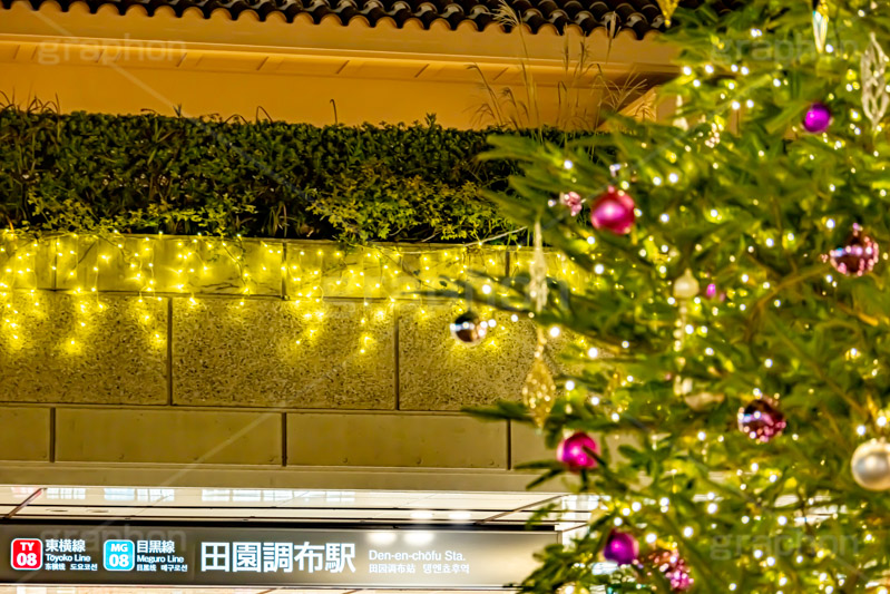 田園調布駅のクリスマスツリー,クリスマスツリー,イルミネーション,イルミ,田園調布駅,田園調布,駅,東急電鉄,東京,大田区,東横線,目黒線,電飾,電球,発光ダイオード,冬,キラキラ,綺麗,きれい,キレイ,煌,輝,デート,クリスマス,飾り,デコレーション,イベント,モミの木,もみの木,オーナメント,ボール,駅名,看板,標示,illumination,tree,LED,CHRISTMAS,Xmas,ornament,japan,tokyo,フルサイズ撮影