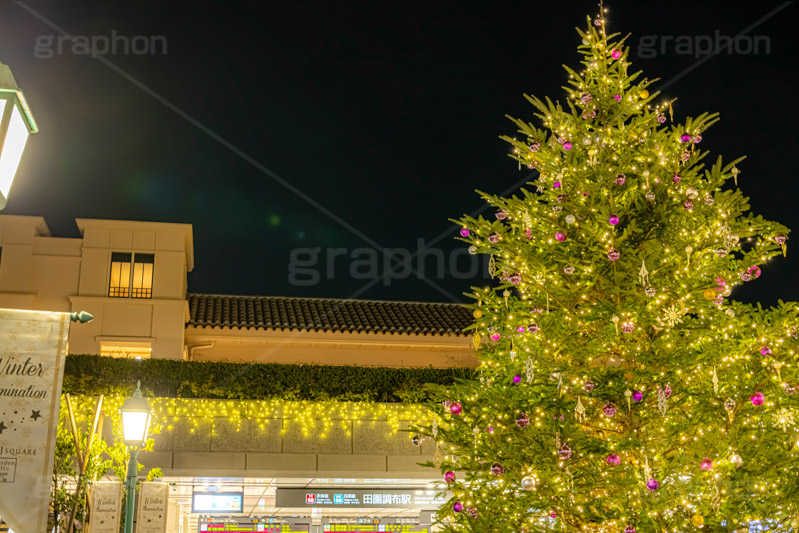 田園調布駅のクリスマスツリー,クリスマスツリー,イルミネーション,イルミ,田園調布駅,田園調布,駅,東急電鉄,東京,大田区,東横線,目黒線,電飾,電球,発光ダイオード,冬,キラキラ,綺麗,きれい,キレイ,煌,輝,デート,クリスマス,飾り,デコレーション,イベント,モミの木,もみの木,オーナメント,ボール,illumination,tree,LED,CHRISTMAS,Xmas,ornament,japan,tokyo,フルサイズ撮影