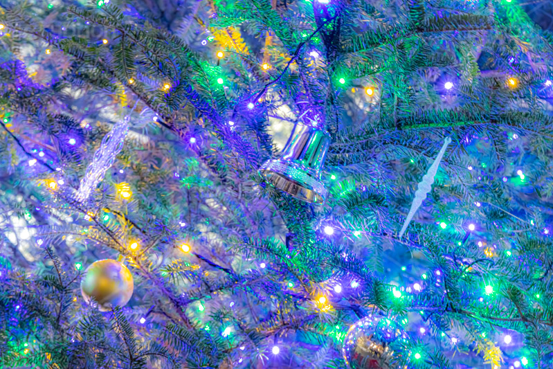 光り輝くクリスマスツリー,クリスマスツリー,イルミネーション,イルミ,電飾,電球,発光ダイオード,冬,キラキラ,綺麗,きれい,キレイ,煌,輝,デート,クリスマス,飾り,デコレーション,イベント,モミの木,もみの木,オーナメント,ボール,ベル,illumination,tree,LED,CHRISTMAS,Xmas,ornament,bell,フルサイズ撮影