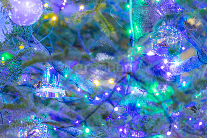 光り輝くクリスマスツリー,クリスマスツリー,イルミネーション,イルミ,電飾,電球,発光ダイオード,冬,キラキラ,綺麗,きれい,キレイ,煌,輝,デート,クリスマス,飾り,デコレーション,イベント,モミの木,もみの木,オーナメント,ボール,ベル,illumination,tree,LED,CHRISTMAS,Xmas,ornament,bell,フルサイズ撮影