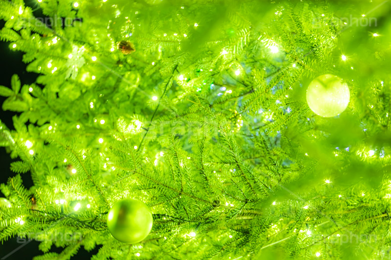 光り輝くクリスマスツリー,クリスマスツリー,イルミネーション,イルミ,電飾,電球,発光ダイオード,冬,キラキラ,綺麗,きれい,キレイ,煌,輝,デート,クリスマス,飾り,デコレーション,イベント,モミの木,もみの木,オーナメント,ボール,illumination,tree,LED,CHRISTMAS,Xmas,ornament,フルサイズ撮影
