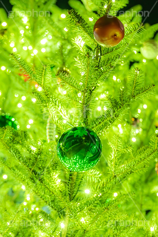光り輝くクリスマスツリー,クリスマスツリー,イルミネーション,イルミ,電飾,電球,発光ダイオード,冬,キラキラ,綺麗,きれい,キレイ,煌,輝,デート,クリスマス,飾り,デコレーション,イベント,モミの木,もみの木,オーナメント,ボール,illumination,tree,LED,CHRISTMAS,Xmas,ornament,フルサイズ撮影