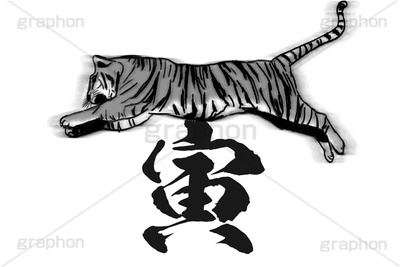 寅イラスト,寅,虎,トラ,とら,リアル,寅年,干支,キャラクター,キャラ,動物,正月,お正月,年賀状,新年,筆,水彩,水彩画,水墨画,タイガー,ジャンプ,ニューイヤー,アニバーサリー,イラスト,illustration,japan,character,tiger