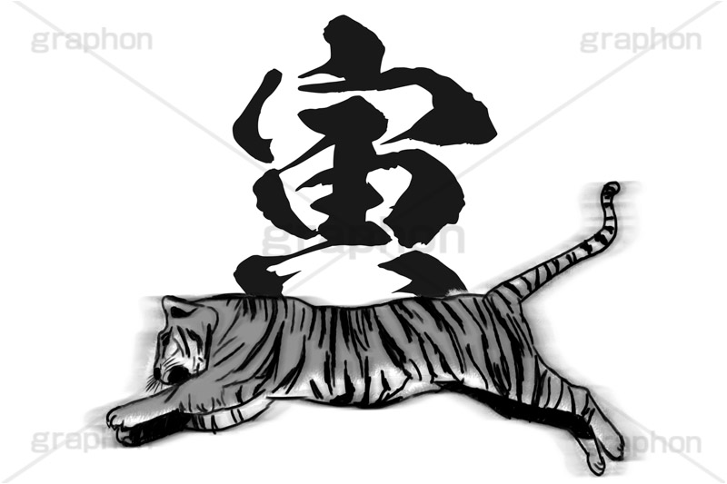 寅イラスト,寅,虎,トラ,とら,リアル,寅年,干支,キャラクター,キャラ,動物,正月,お正月,年賀状,新年,筆,水彩,水彩画,水墨画,タイガー,ジャンプ,ニューイヤー,アニバーサリー,イラスト,illustration,japan,character,tiger