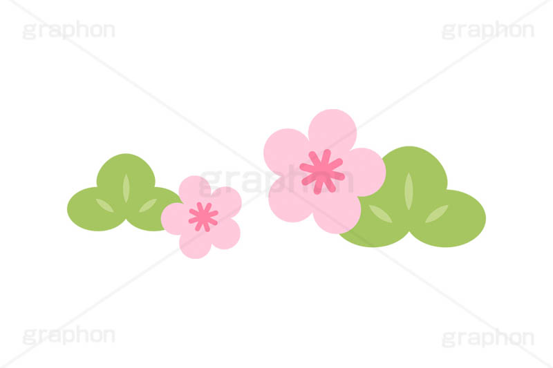 梅と松,梅,梅の花,松,お正月,正月,年賀状,和,和風,イラスト,ポップ,可愛い,かわいい,カワイイ,挿絵,挿し絵,キャラクター,ニューイヤー,newyear,illustration,POP