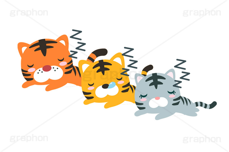 居眠りをするトラ,居眠り,寝落ち,寝る,睡眠,鼻提灯,いびき,ウトウト,うとうと,寅キャラクター,ホワイトタイガー,日常,年賀状,干支,虎,寅,とら,寅年,イラスト,ポップ,可愛い,かわいい,カワイイ,挿絵,挿し絵,キャラクター,動物,illustration,POP,winter,tiger