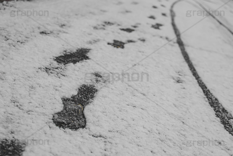 雪の足跡,雪のタイヤ跡,道路に積もる雪,雪,ゆき,積,足跡,跡,冬,道路,アスファルト,滑る,積雪,snow,winter,フルサイズ撮影