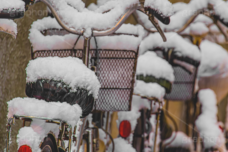 自転車に積もった雪,雪の朝,雪,積もる,冬,サドル,ハンドル,自転車,寒い,凍る,困る,カゴ,かご,籠,駐輪場,降る,積雪,snow,winter,フルサイズ撮影
