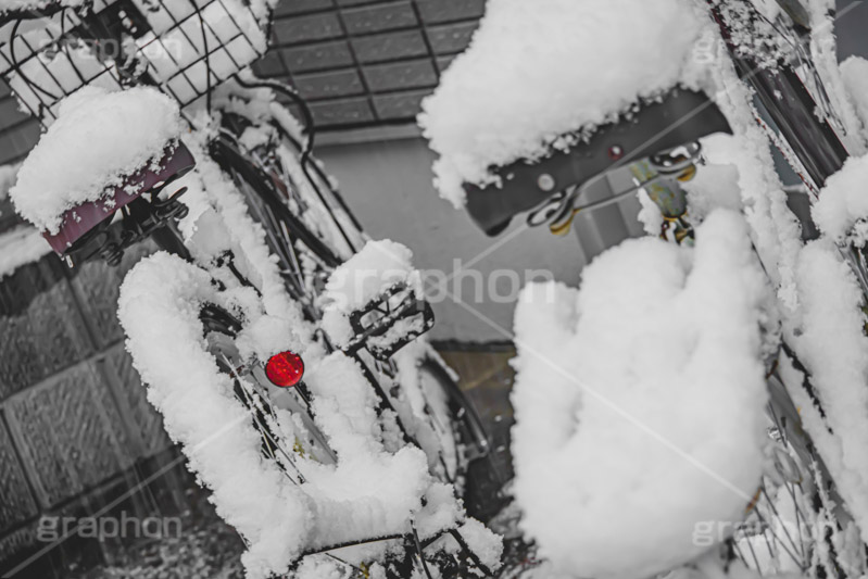 自転車に積もった雪,雪の朝,雪,積もる,冬,サドル,自転車,寒い,凍る,困る,タイヤ,降る,積雪,snow,winter,フルサイズ撮影