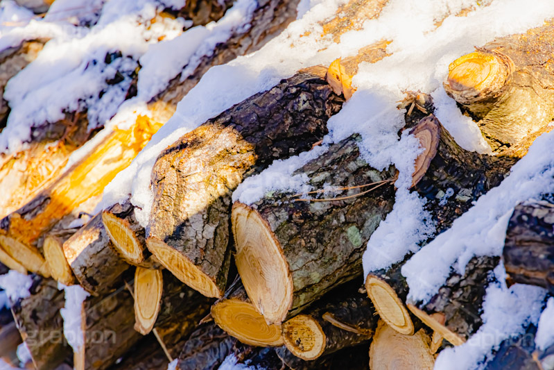 薪に積もる雪,薪,まき,たきぎ,燃料,暖房,暖炉,積み上げられた木材,積む,木材,木,素材,材料,テクスチャ,テクスチャー,雪,ゆき,積,冬,積雪,snow,winter,texture,wood,フルサイズ撮影