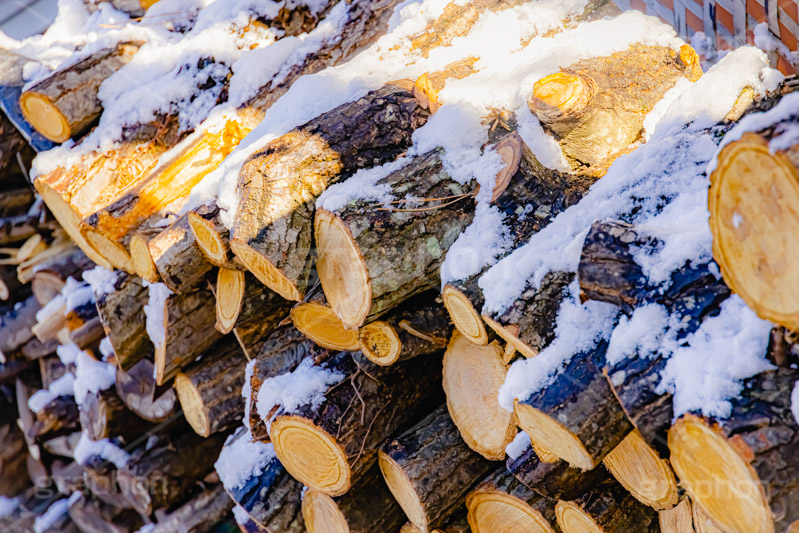 薪に積もる雪,薪,まき,たきぎ,燃料,暖房,暖炉,積み上げられた木材,積む,木材,木,素材,材料,テクスチャ,テクスチャー,雪,ゆき,積,冬,積雪,snow,winter,texture,wood,フルサイズ撮影