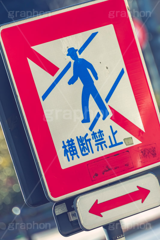 横断禁止,横断,禁止,注意,道路,交通,標識,標示,歩行者,歩行,停止,道,看板,注意,ルール,rule,stop,road,フルサイズ撮影