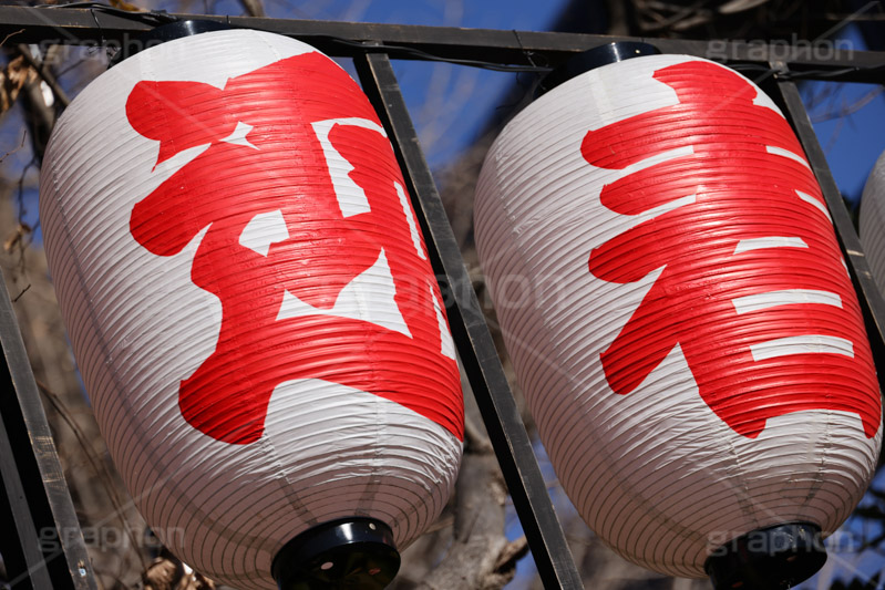 迎春,提灯,ちょうちん,お正月,正月,正月飾り,飾り,装飾,和,大晦日,縁起,清浄,新年,年明け,年越し,年末,初詣,12/31,1/1,イベント,風習,和風,行事,年賀状,japanese,japan,new year,フルサイズ撮影