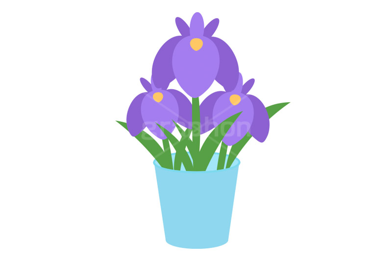 菖蒲,しょうぶ,ショウブ,花瓶,こどもの日,子供の日,こども,子供,5月5日,端午,節句,和,文化,風習,行事,イラスト,japan,illustration