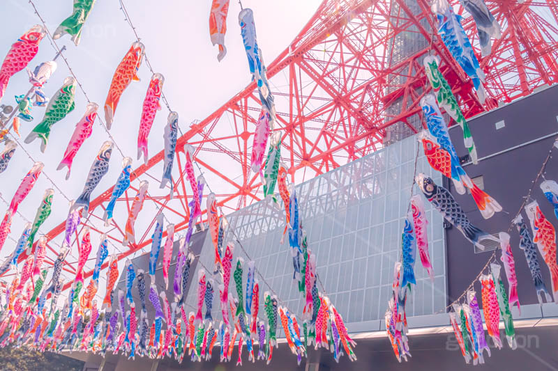 東京タワーと鯉のぼり,こいのぼり,鯉のぼり,5月5日,端午,節句,こどもの日,子供の日,こども,子供,東京タワー,とうきょうタワー,港区,和,文化,風習,行事,なびく,Tokyo Tower,event,kids,japan