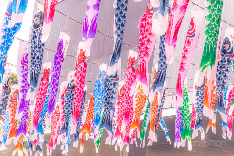 東京タワーと鯉のぼり,こいのぼり,鯉のぼり,5月5日,端午,節句,こどもの日,子供の日,こども,子供,東京タワー,とうきょうタワー,港区,和,文化,風習,行事,なびく,Tokyo Tower,event,kids,japan