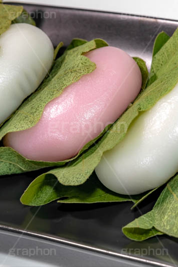 かしわ餅,柏餅,かしわもち,もち,餅,おもち,和菓子,菓子,お菓子,お茶請け,デザート,あん,餡子,あんこ,カシワ,かしわ,つぶあん,こしあん,5月5日,端午,節句,供物,こどもの日,子供の日,こども,子供,しばもち,葉,葉っぱ,和,和食,日本食,文化,風習,行事,スイーツ,dessert,japan,kids,フルサイズ撮影