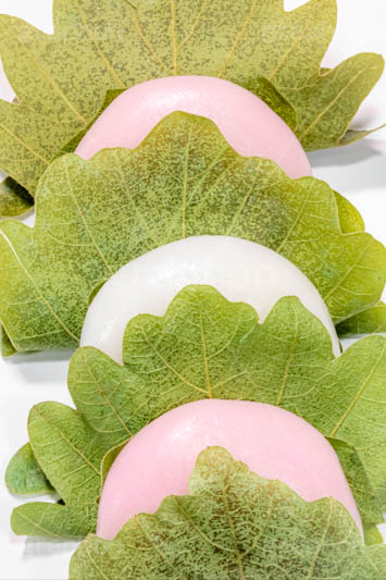 かしわ餅,柏餅,かしわもち,もち,餅,おもち,和菓子,菓子,お菓子,お茶請け,デザート,あん,餡子,あんこ,カシワ,かしわ,つぶあん,こしあん,5月5日,端午,節句,供物,こどもの日,子供の日,こども,子供,しばもち,葉,葉っぱ,和,和食,日本食,文化,風習,行事,スイーツ,dessert,japan,kids,フルサイズ撮影