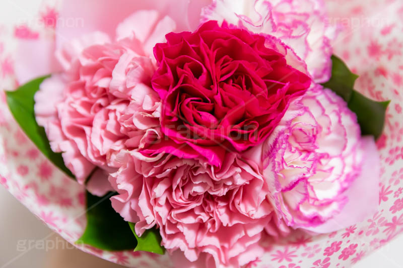 カーネーションの花束,花束,贈り物,カーネーション,母の日,ナデシコ科,ナデシコ属,花,お花,春,フラワー,プレゼント,ありがとう,感謝,お礼,母,お母さん,生花,spring,flower,carnation,present,mother's day,フルサイズ撮影