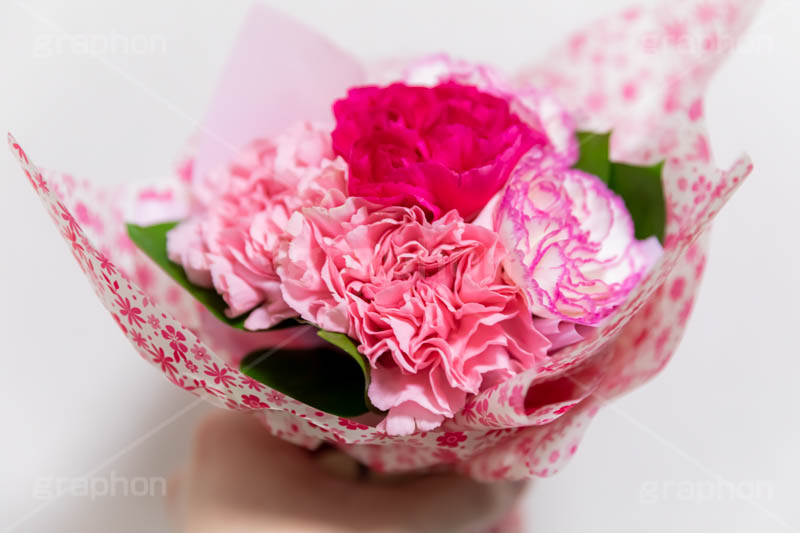 カーネーションの花束,花束,贈り物,カーネーション,母の日,ナデシコ科,ナデシコ属,花,お花,春,フラワー,プレゼント,ありがとう,感謝,お礼,母,お母さん,生花,spring,flower,carnation,present,mother's day,フルサイズ撮影