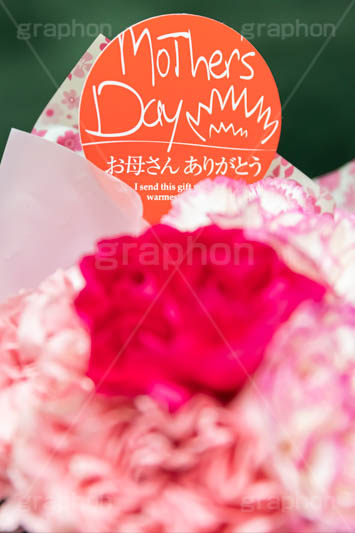 カーネーションの花束,花束,贈り物,カーネーション,母の日,ナデシコ科,ナデシコ属,花,お花,春,フラワー,プレゼント,ありがとう,感謝,お礼,母,お母さん,生花,spring,flower,carnation,present,mother's day,フルサイズ撮影