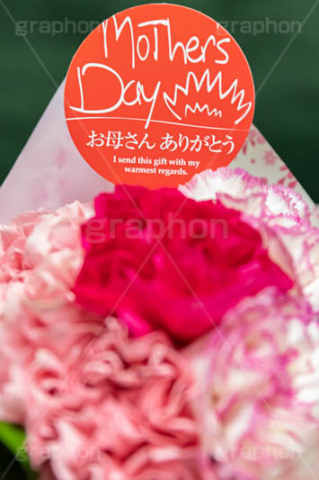 カーネーションの花束,花束,贈り物,カーネーション,母の日,ナデシコ科,ナデシコ属,花,お花,春,フラワー,プレゼント,ありがとう,感謝,お礼,母,お母さん,生花,spring,flower,carnation,present,mother's day,フルサイズ撮影