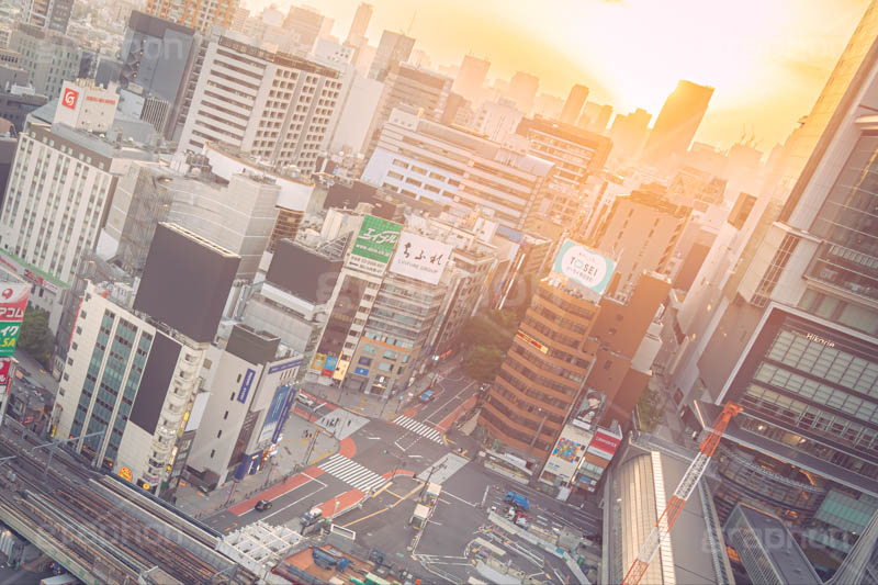 渋谷の夜明け,夜明け,朝日,朝焼け,朝,早朝,静か,東口,渋谷,しぶや,看板,広告,観光,交差点,渋谷駅,駅前,横断歩道,信号,japan,shibuya,sunrise,フルサイズ撮影