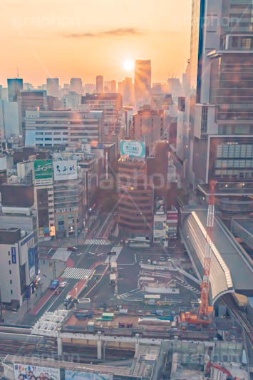 渋谷の夜明け,夜明け,朝日,朝焼け,朝,早朝,静か,東口,渋谷,しぶや,看板,広告,観光,交差点,渋谷駅,駅前,横断歩道,信号,工事,重機,再開発,japan,shibuya,sunrise,フルサイズ撮影