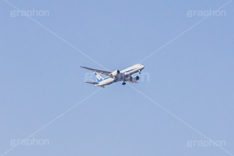 青空と飛行機,飛行機,青空,空,飛ぶ,ひこうき,青空,航空,旅,旅行,ANA,plane,フルサイズ撮影
