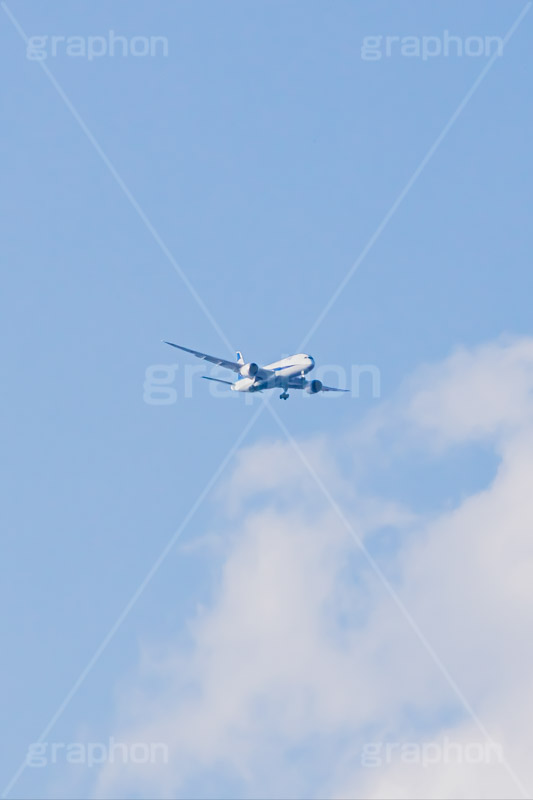 青空と飛行機,飛行機,青空,空,飛ぶ,ひこうき,青空,航空,旅,旅行,plane,フルサイズ撮影