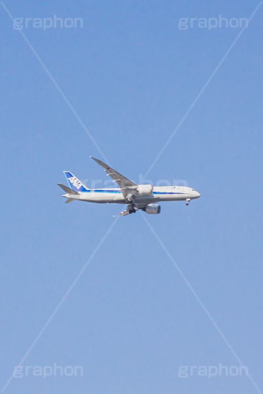 青空と飛行機,飛行機,青空,空,飛ぶ,ひこうき,青空,航空,旅,旅行,ANA,plane,フルサイズ撮影