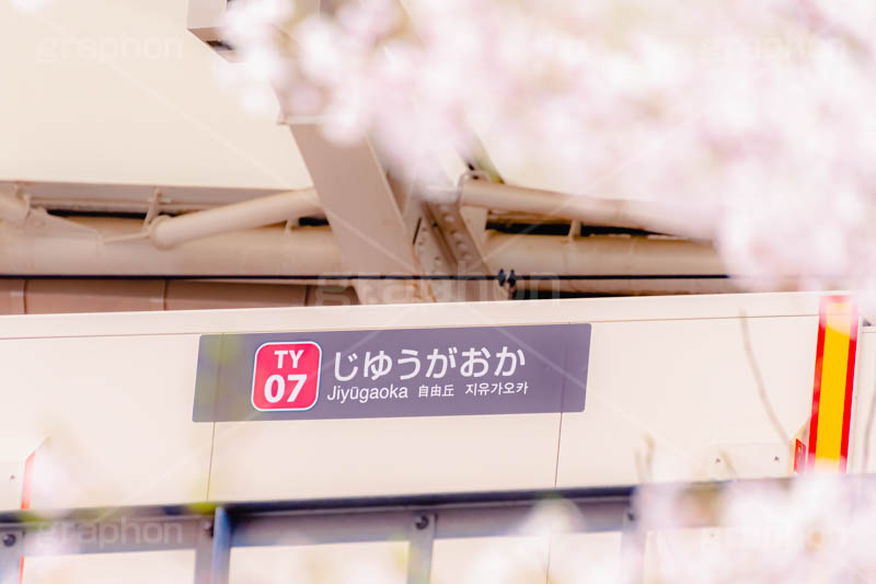 春の自由が丘駅,春,桜,サクラ,さくら,自由が丘駅,自由が丘,駅,東急電鉄,東京,目黒区,駅舎,東横線,駅名,看板,標示,japan,tokyo