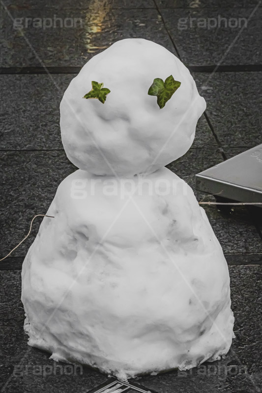 雪だるま,雪ダルマ,スノーマン,スノー,雪,ゆき,積雪,はっぱ,snowman,snow,winter