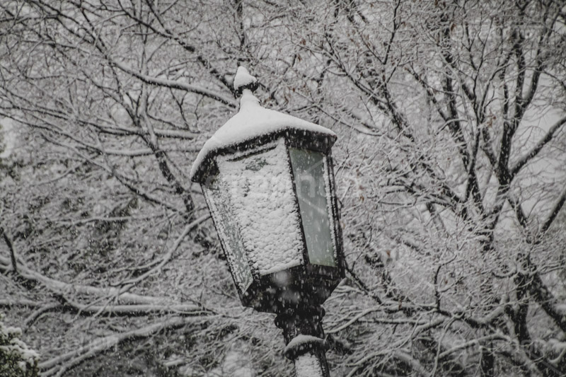 雪の積もった外灯,外灯,電灯,ライト,雪,積もる,冬,寒い,積雪,凍結,大雪,公園,snow,winter,フルサイズ撮影