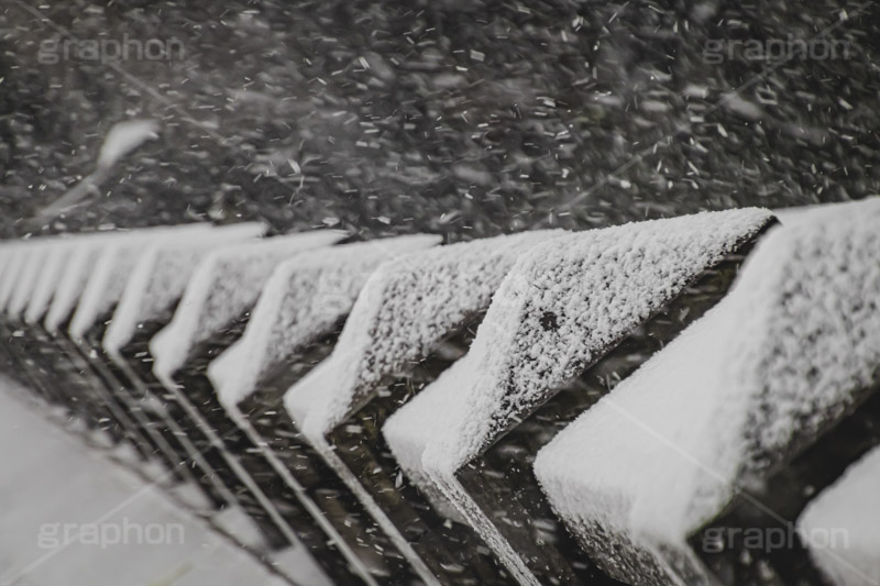 柵に積もる雪,柵,雪,ゆき,積,冬,道路,積雪,snow,winter